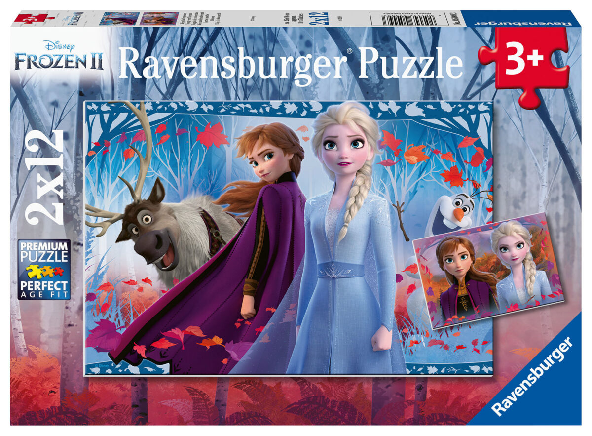 050093 Puzzel 2x12 stukjes Frozen 2
