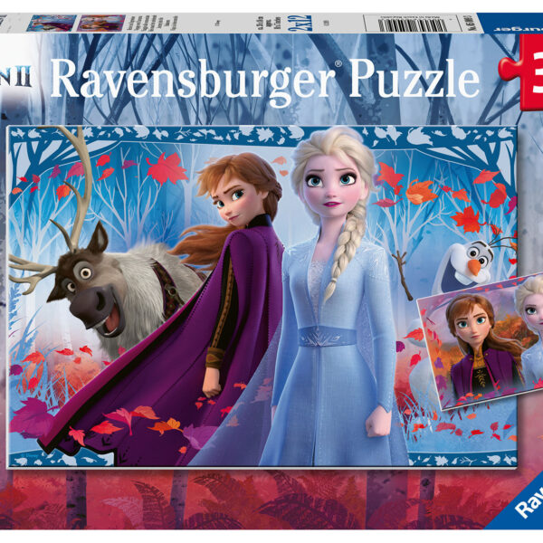 050093 Puzzel 2x12 stukjes Frozen 2