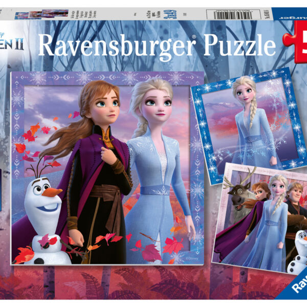 050116 Puzzel 3x49 stukjes Frozen 2