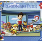90853 Puzzel 2x24 stukjes Paw Patrol hulpvaardige speurneus