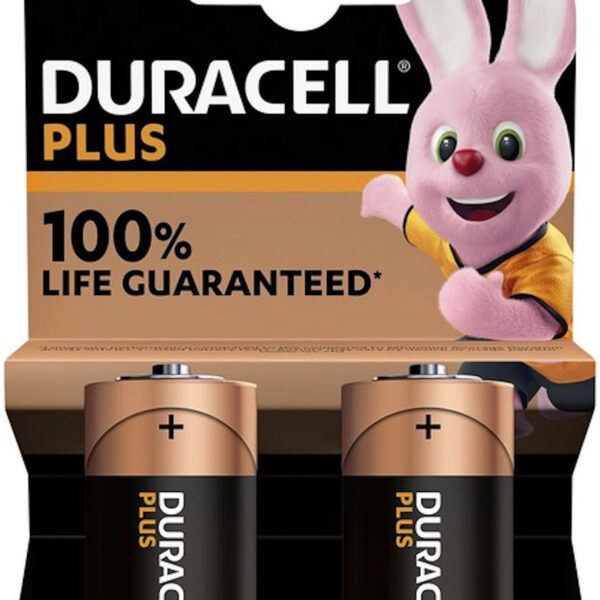 141834 Batterij Duracell Alkaline Plus C bls2