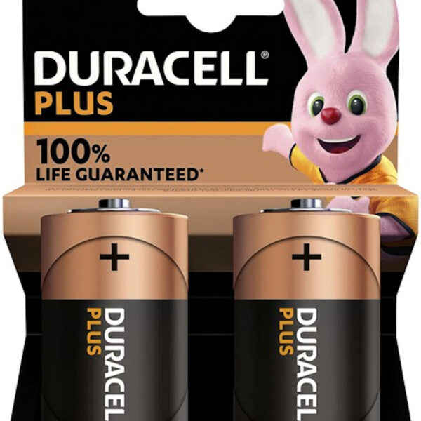141995 Batterij Duracell Alkaline Plus D bls2