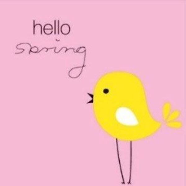 195796 Duni servetten Hello Spring 3-laags 33x33