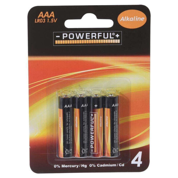 C31000020 Batterijen Powerful Alkaline AAA bls4