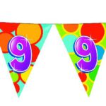 405509 Vlaggenlijn 10 meter 9 jaar 5 stuks