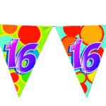 405522 Vlaggenlijn 10 meter 16 jaar 5 stuks