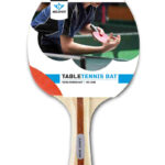 040202 Tafeltennis bat 2 ster
