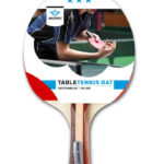 040203 Tafeltennis bat 3 ster
