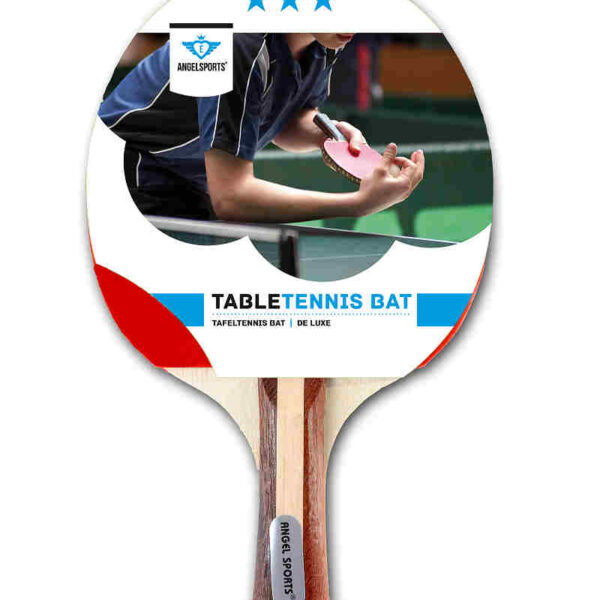 040203 Tafeltennis bat 3 ster