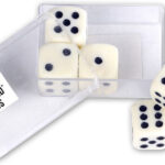 300260 6 dobbelstenen 16 mm in doosje