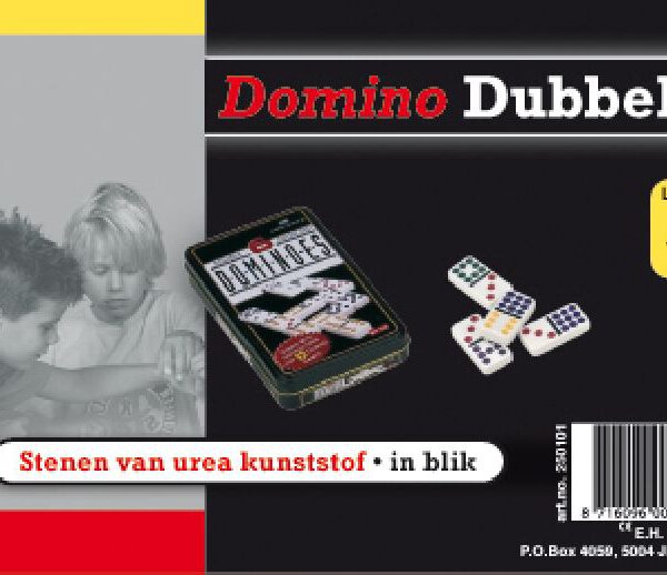 250101 Domino dubbel 6 in blik