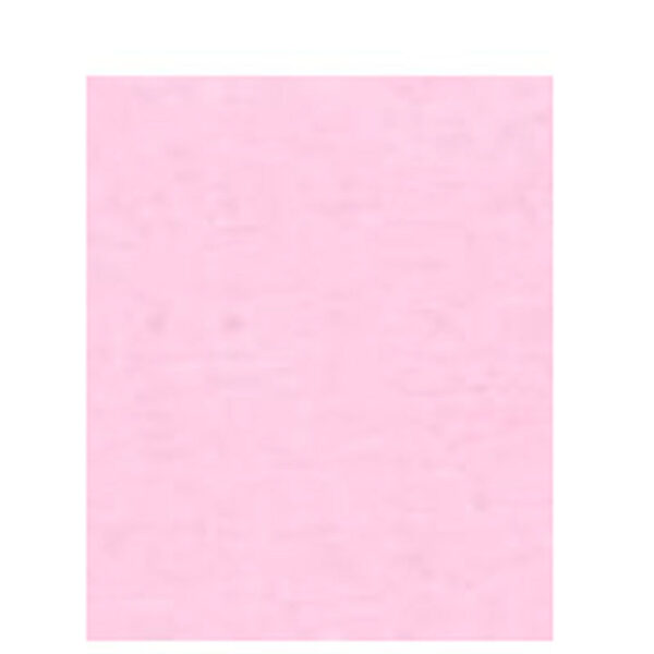 S0012170 Papier A4 120gr 100 vel roze