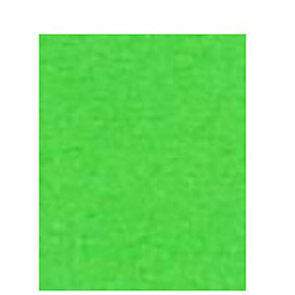 S0012230 Papier A4 120gr 100 vel groen