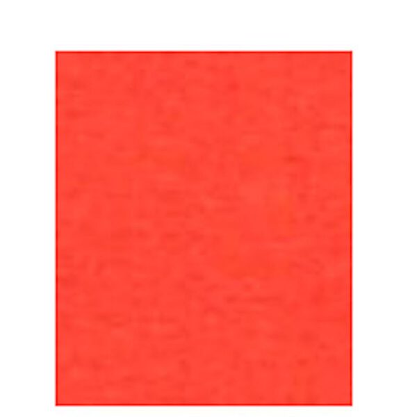 S0040250 Papier A4 80gr 100 vel rood