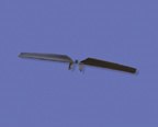Tail rotor blade