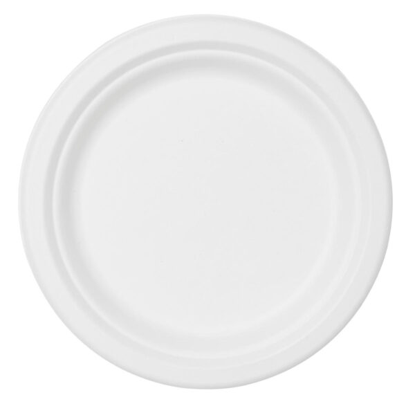 Duni BioPak Bagasse borden 18cm 10 stuks