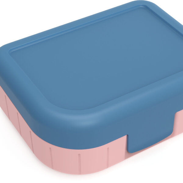 Rotho Lunchbox To Go MEMORY KIDS 1L horizon blauw
