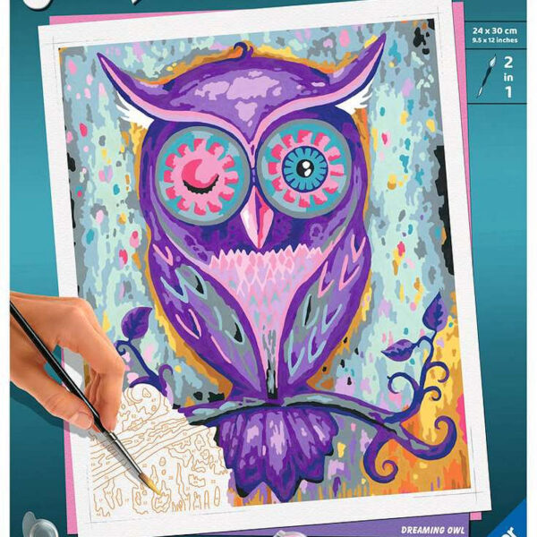 Creart Large - Dreaming owl