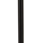 Toiletrolhouder RVS mat zwart