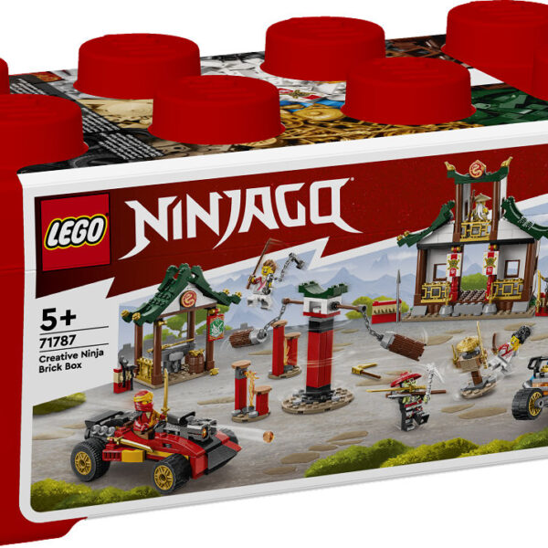 LEGO Ninjago Creatieve ninja opbergdoos