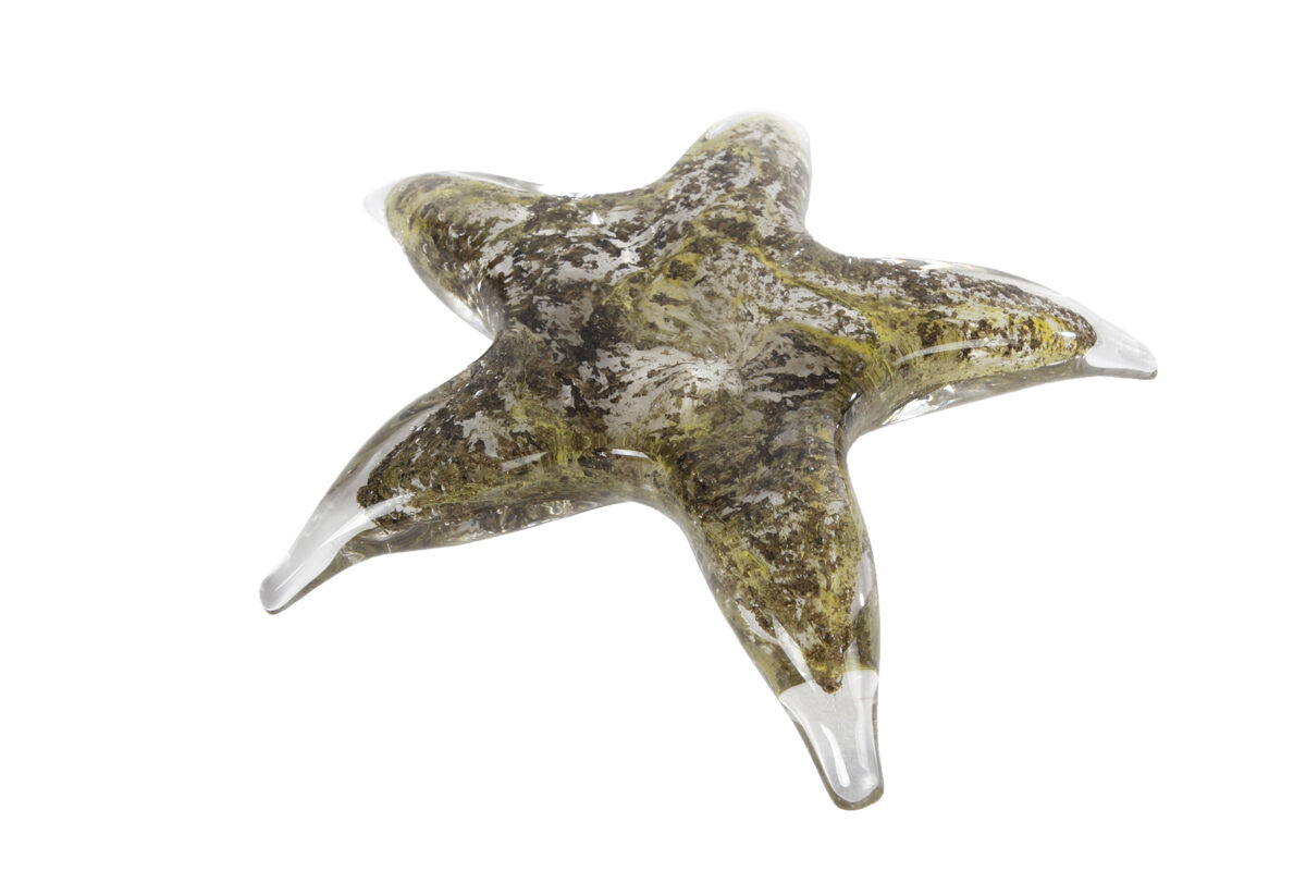 Sculptuur Starfish grijs/groen glas 15,5x14,5x3,5cm
