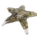 Sculptuur Starfish grijs/groen glas 15,5x14,5x3,5cm