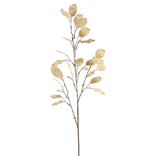 Counntryfield Kunstbloem Lunaria L beige 107cm