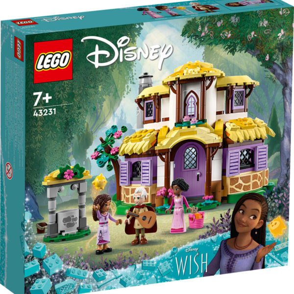 LEGO Disney Princess Asha's huisje