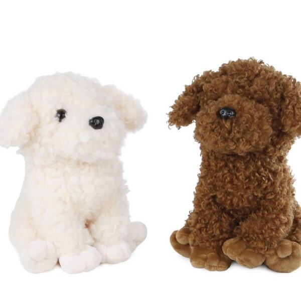 Take Me Home hond poedel pluche 2ass 26cm