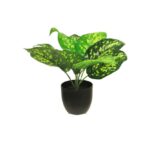 Zijde Dieffenbachia sunshine groen 28cm