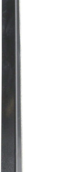 Schoenlepel lang RVS 51x4cm