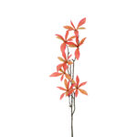 Countryfield Kunstbloem Pachira rood 80cm