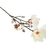 Countryfield Kunstbloem Magnolia Chayca crème 87cm