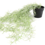 Countryfield Kunstplant Tillandsia groen