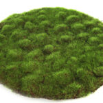Countryfield Mosschijf Marchantiophyta L groen 30x30x2cm