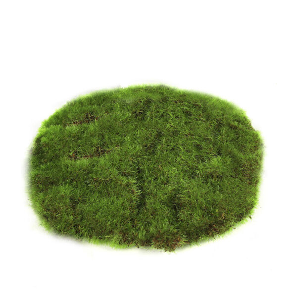 Countryfield Mosschijf marchantiophyta XS groen 14x14x2cm