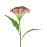 Countryfield Kunstbloem Celosia l.paars 62cm