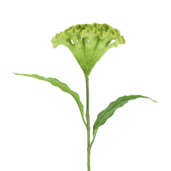 Countryfield Kunstbloem Celosia groen 62cm