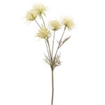 Countryfield Kunstbloem Hakea crème 75cm