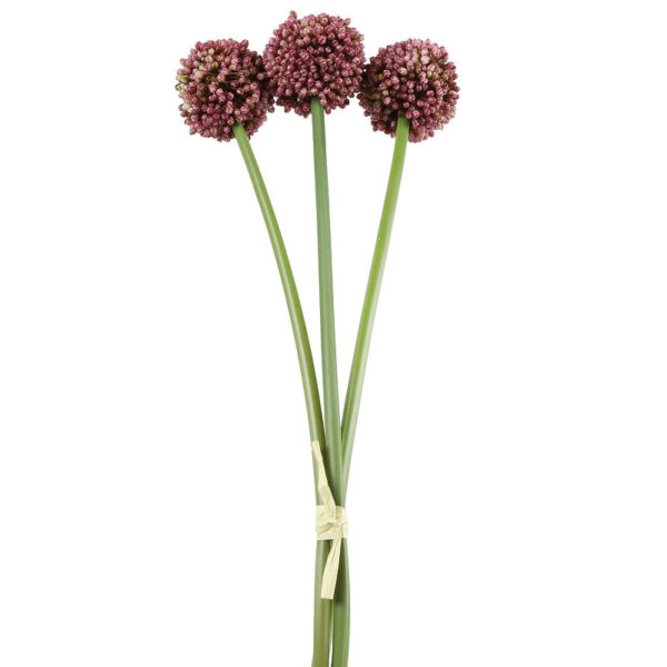 Countryfield Kunstbloem Allium sativum fuchsia 55cm