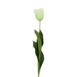 Countryfield Kunstbloem Tulipa (Parrot French) wit 65cm