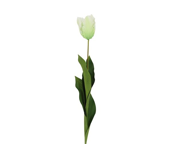 Countryfield Kunstbloem Tulipa (Parrot French) wit 65cm