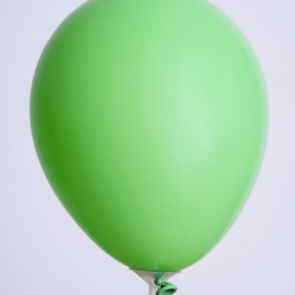 Zak met 25 ballons no. 12 donkergroen