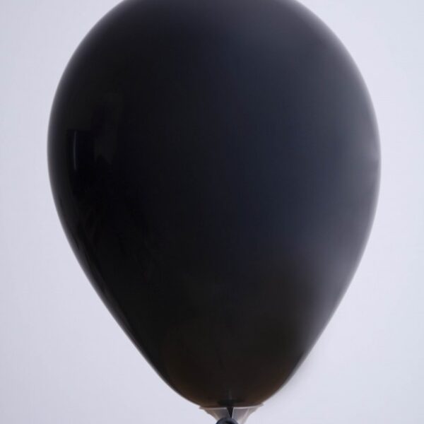 Zak met 25 ballons no. 12 zwart