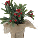 Plant Rode Bessen in jute pot 23cm