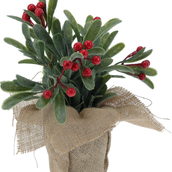 Plant Rode Bessen in jute pot 23cm