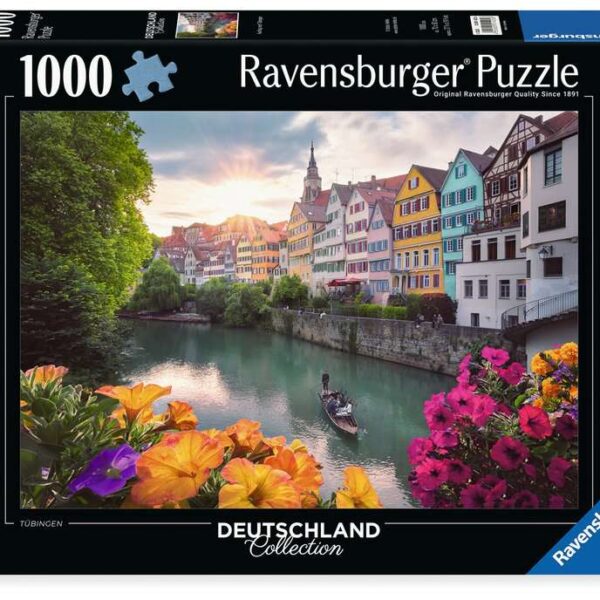 Puzzel 1000 stukjes - Ausflug nach Tübingen