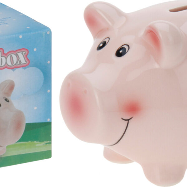 Spaarpot varken 115x91x91mm