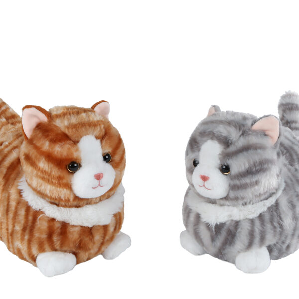 Take Me Home poes liggend pluche 2ass 25cm