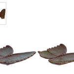 Sculptuur Butterfly L blauw/groen a2 aardew 18x17x3,5cm